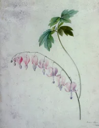 フラワーピース